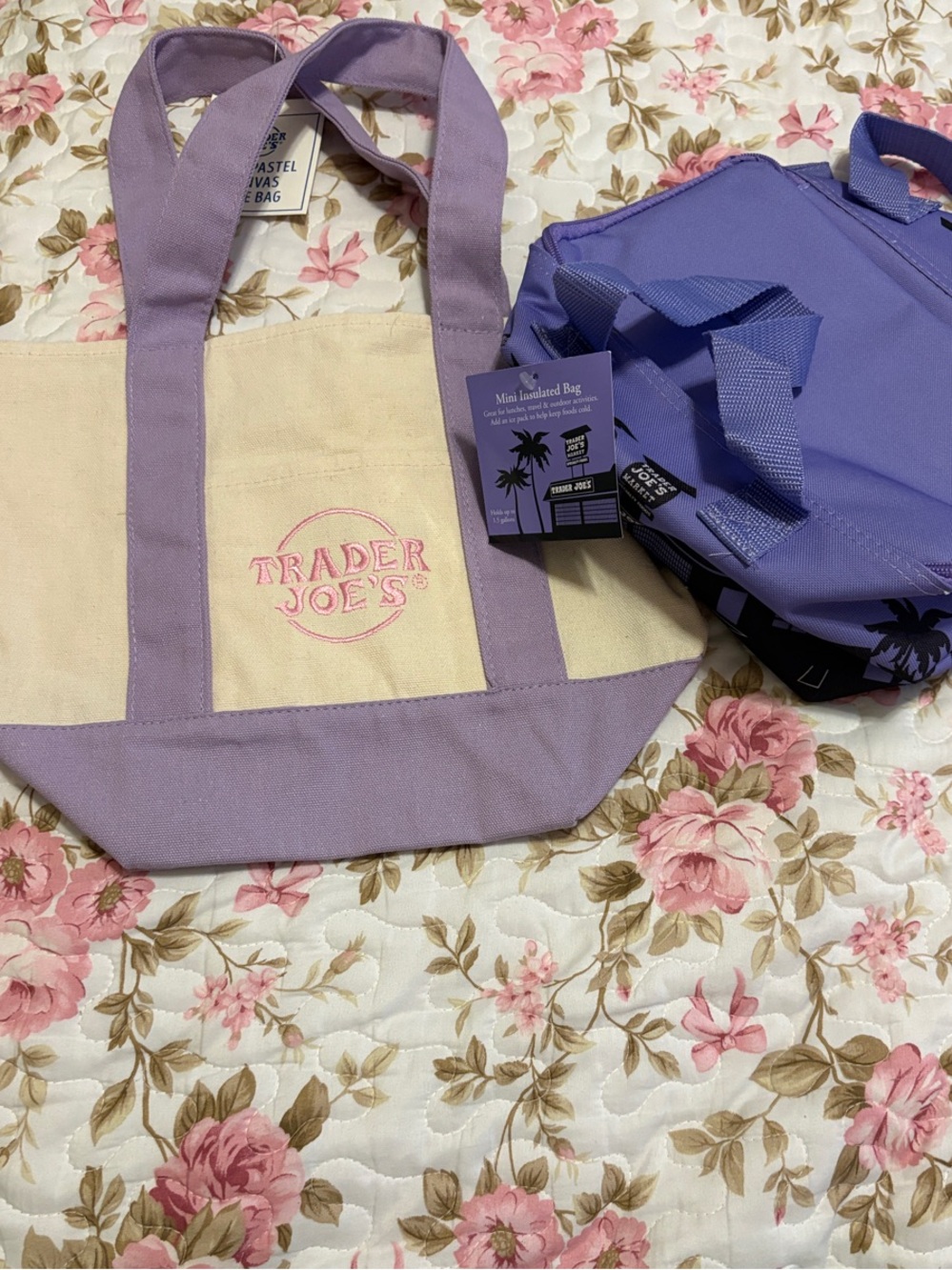 Trader Joes Mini Tote Bag and Mini Cooler set